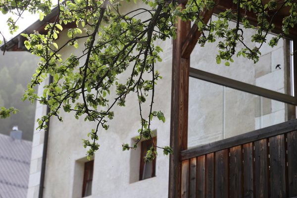 Chasa Chalavaina – Hotel Chalavaina im Val Müstair